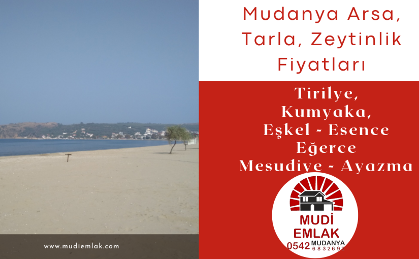 Mudanya Arsa & Tarla Fiyatları 2026 – Mudi Emlak Analizi